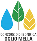 Logo Consorzio di Bonifica Oglio Mella